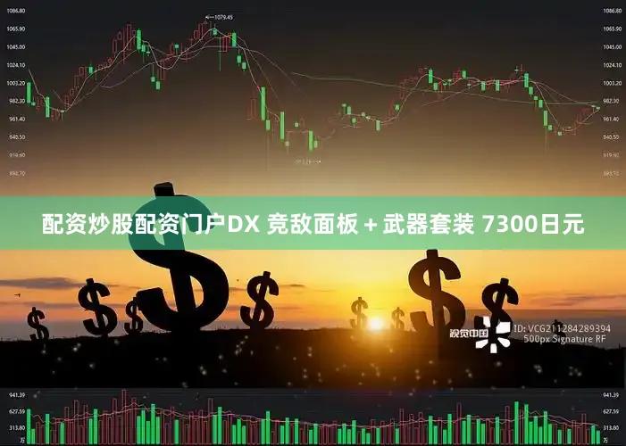 配资炒股配资门户DX 竞敌面板＋武器套装 7300日元