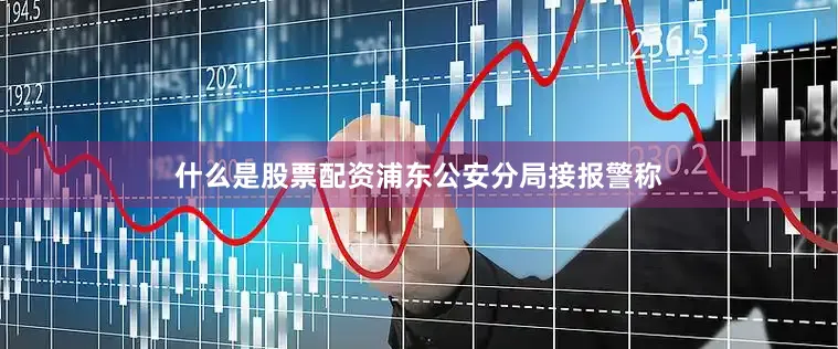 什么是股票配资浦东公安分局接报警称