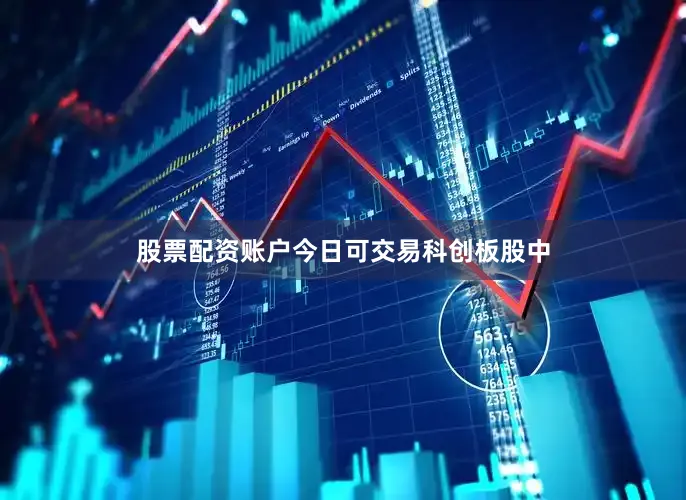 股票配资账户今日可交易科创板股中