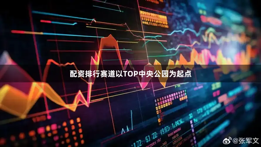 配资排行赛道以TOP中央公园为起点